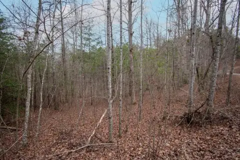 Wooded Land in Murphy, NC