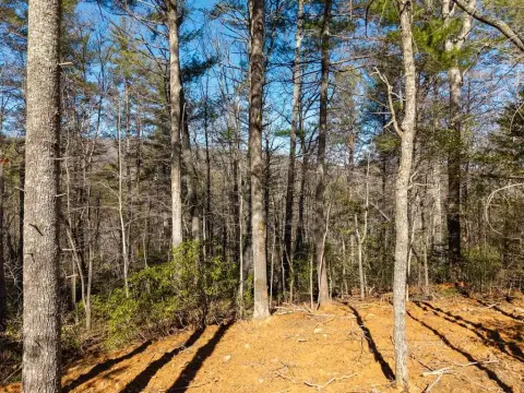 Blairsville, GA RV Lot