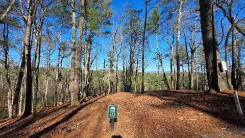 Ellijay, GA Vacant Lot