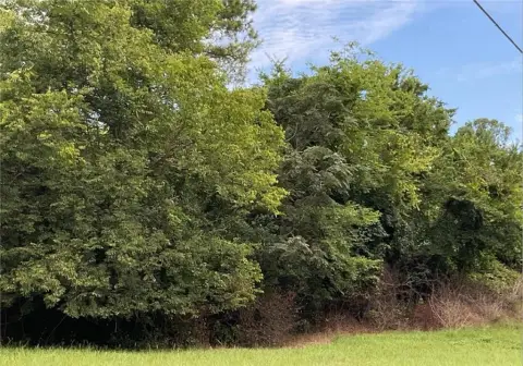 Spacious Residential Lots Near University