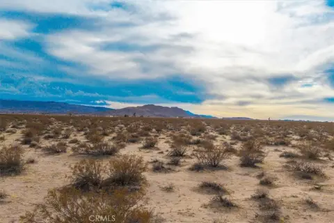 20-Acre Joshua Tree Land Parcel