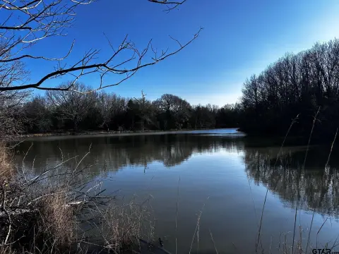 Van, TX Wooded Acreage