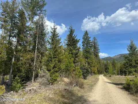 8+ Acre Wooded Parcel