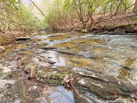 Creekfront Land in Talking Rock
