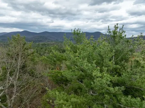 Ellijay Vacant Land with Views