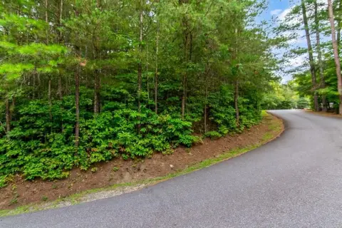 Mountain View Lot in Blue Ridge