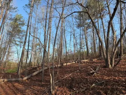 Secluded Acreage Near Lake Allatoona