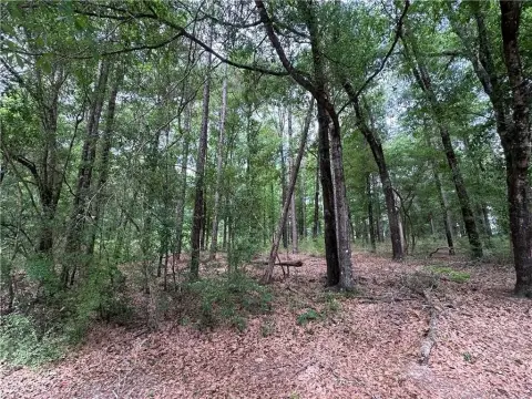 Saraland Acreage: Build Your Dream