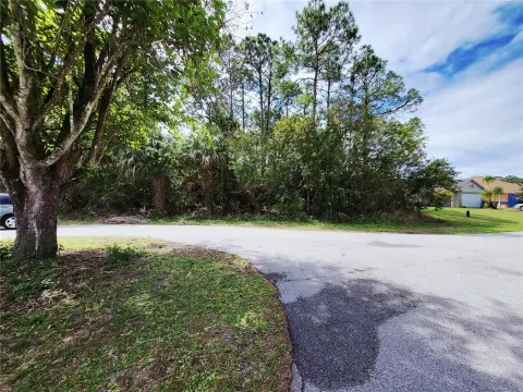 Wooded Lot in Palm Bay