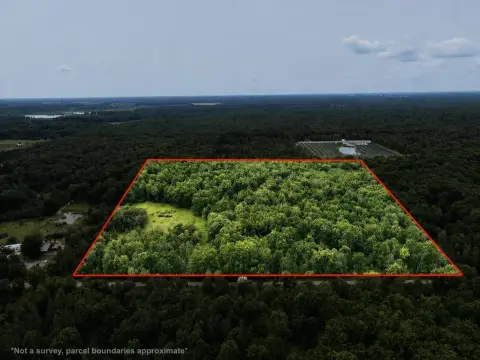 Wooded Hunting Land