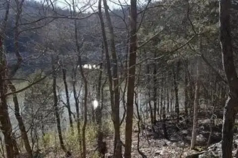 Unrestricted Land Near Lake Cumberland