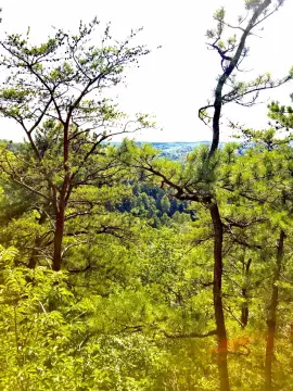 Land with Mountain Views