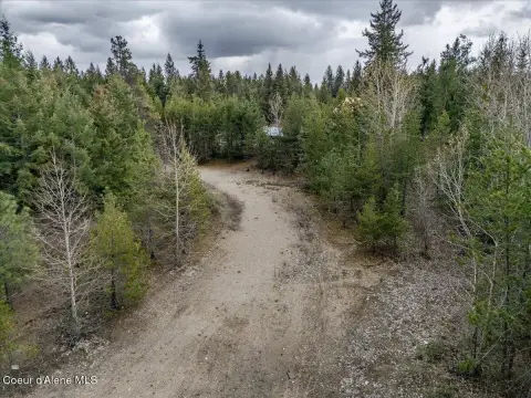 Treed Residential Building Lot