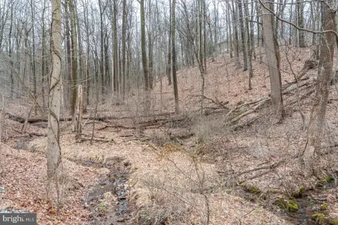2.17 Acre Wooded Building Lot