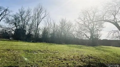 Residential Land Near Downtown Detroit