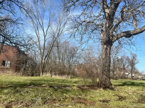Residential Land Near Downtown Detroit