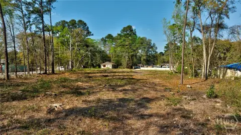 Cleared Land in Savannah, GA