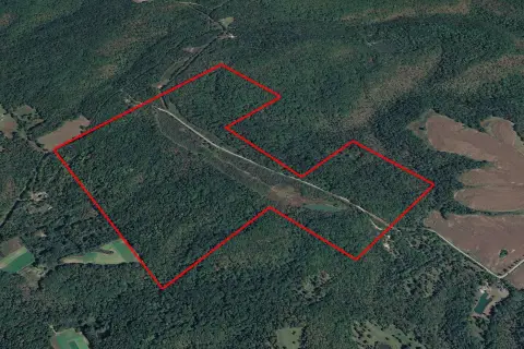 Hunting Land with Timber