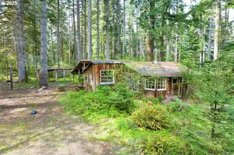 Private Springfield Land with Cabin