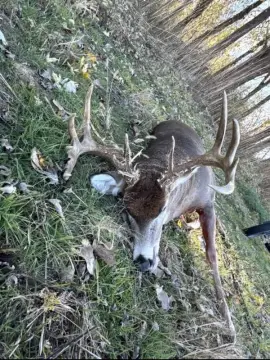 Whitetail Hunting Land