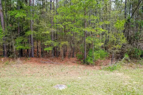 Waterfront Lot in Longleaf Pointe