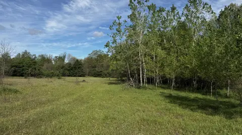 Secluded 80-Acre Hunting and Recreation Land