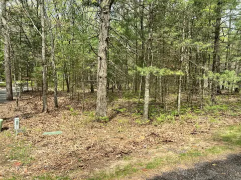 Pentwater Land with Lake Access