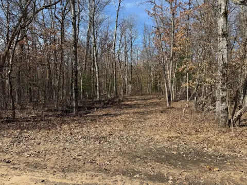 Wellston, MI Wooded Lots