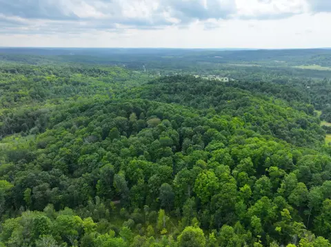Wooded Hunting Land