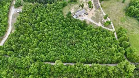 Wooded Land Near National Forest