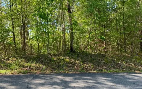 Mountain View Lot with Creek Access