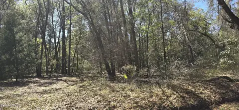 St. Helena Island Wooded Lot
