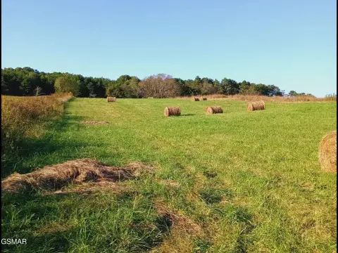 Agricultural Land with Roadside Water