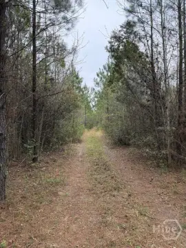 Rincon, GA 17+ Acre Land