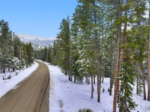 Breckenridge Land Near National Forest
