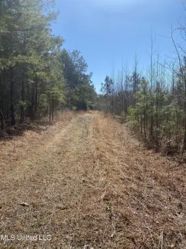 Ripley, MS Land For Sale