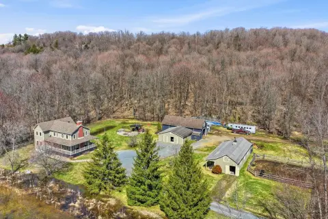 Equestrian Farm With Vineyard
