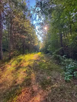 Recreation Land with Trail