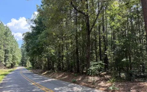 Wooded Recreational Land