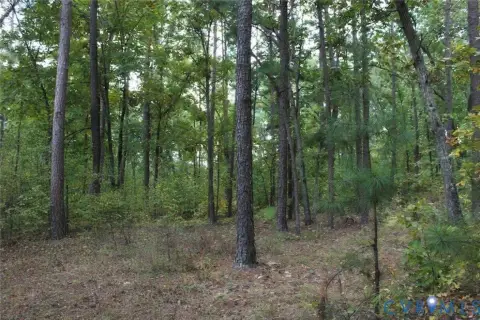 Henrico County Acreage Opportunity