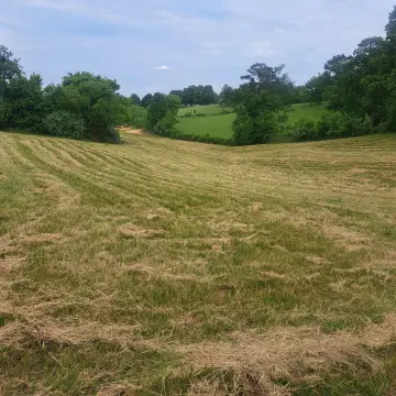 Cleared Land in London, KY