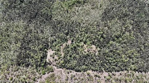 Recreation Land with On-Site Well
