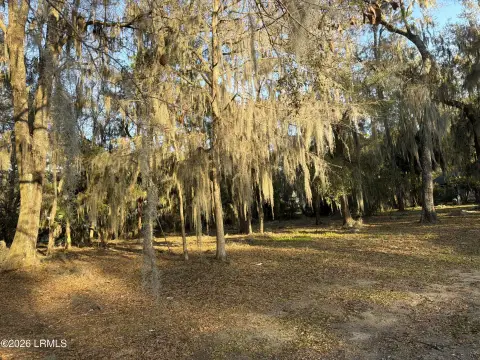 Beaufort Residential Lot in Coosaw