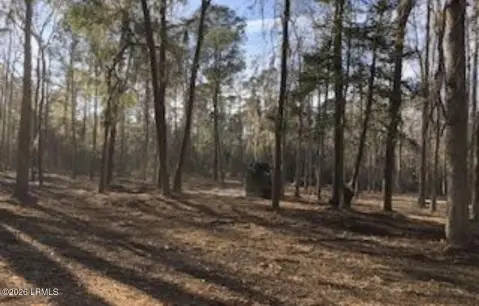 Residential Lot in Marsh Hawk