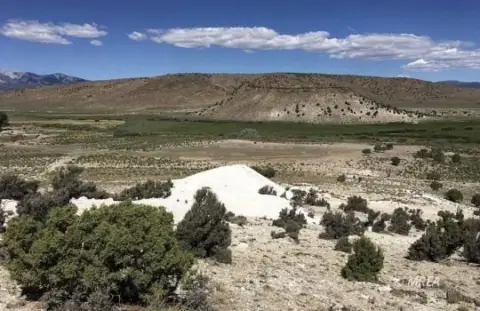 Expansive Land Parcel Near Ely