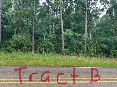 Unrestricted Land in Shelbyville ISD