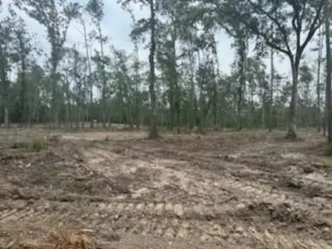 Tyler County Raw Land Opportunity