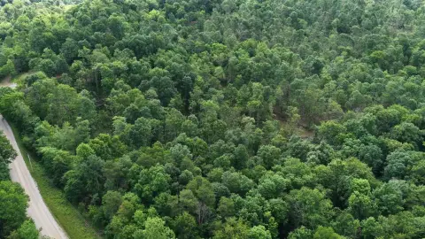 Wooded Hunting Land
