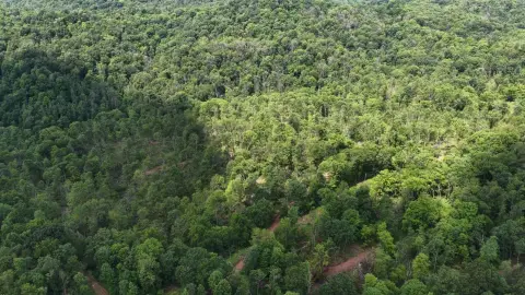 Wooded Hunting Land with Mapped Stream