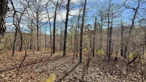 Residential Land in Ozark Foothills